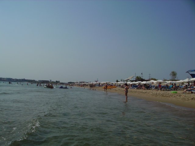 strand.jpg