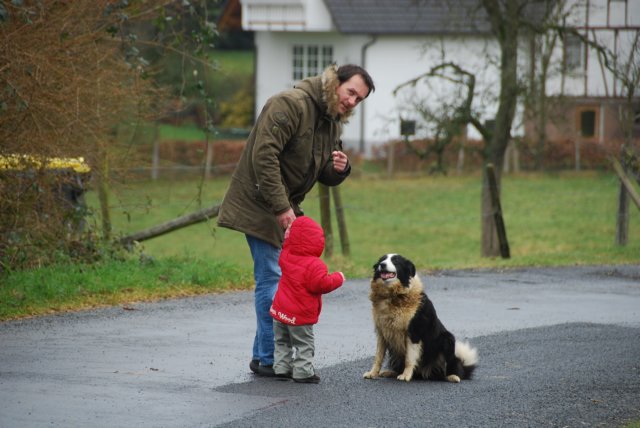 daistjawiederderhund.jpg