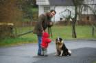 daistjawiederderhund_small.jpg
