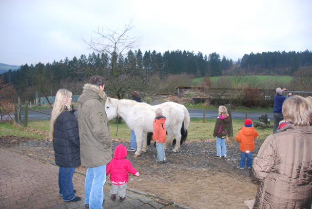 papaichwillreiten.jpg