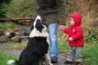 puhistderhundnah_small.jpg