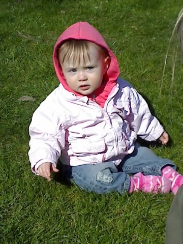 photo16.jpg