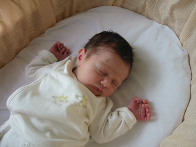 photo.jpg