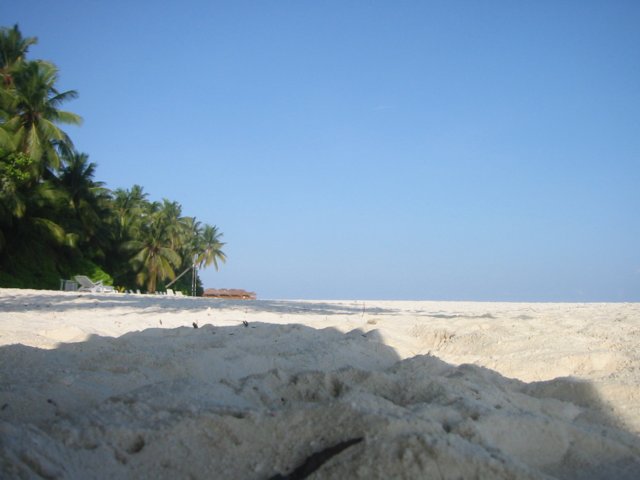 fihalhoiimpressionen1.jpg