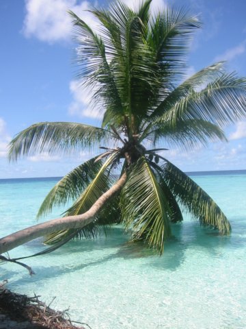 fihalhoiimpressionen7.jpg