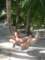 relaxed_small.jpg