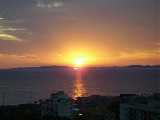 sonnenuntergangpalma.jpg