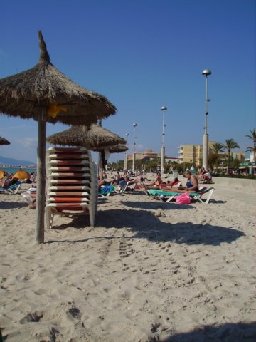 strandabschnitt4.jpg