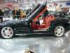 slrbybrabus_small.jpg