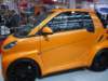 smartfor2bybrabus_small.jpg