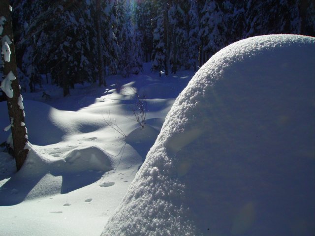 pict0442.jpg