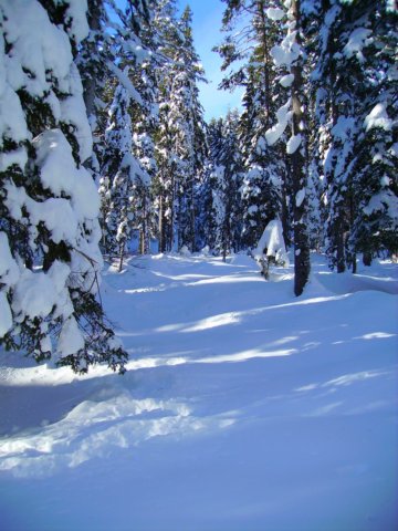 pict0443.jpg